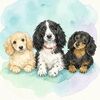 idahodoxies
